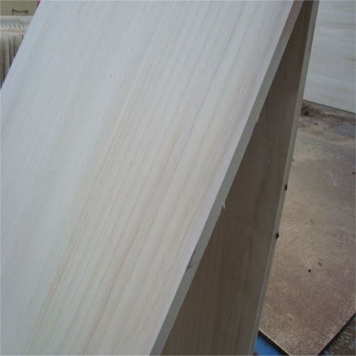 Paulownia Puzzle